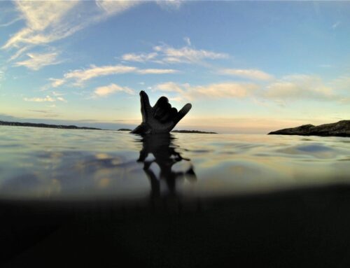 You plan your next marathon? Audun Taraldsen plans his 100km wild swimming